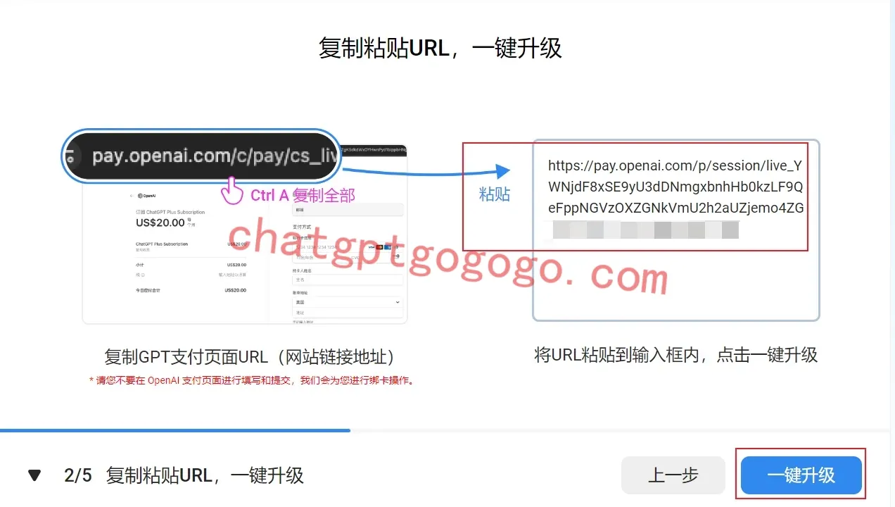 ChatGPT Plus 支付成功