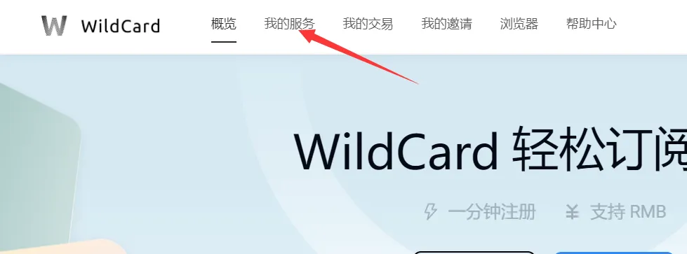 WildCard主界面